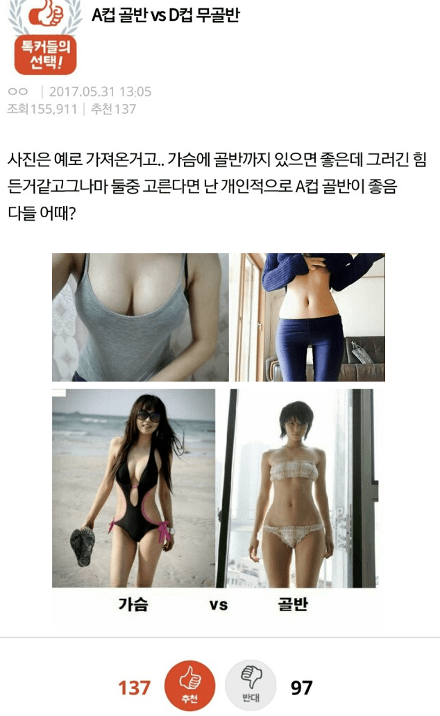 안구정화 그림