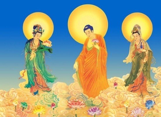 안구정화 그림