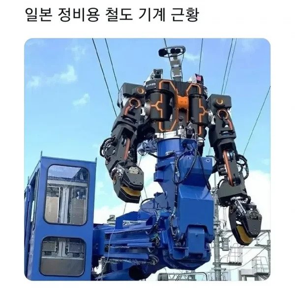 안구정화 그림