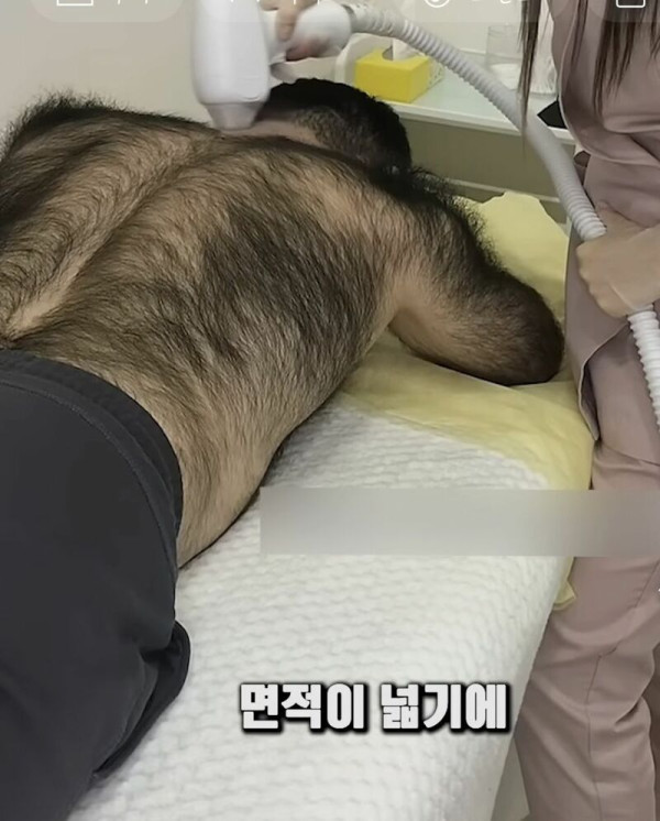 안구정화 그림
