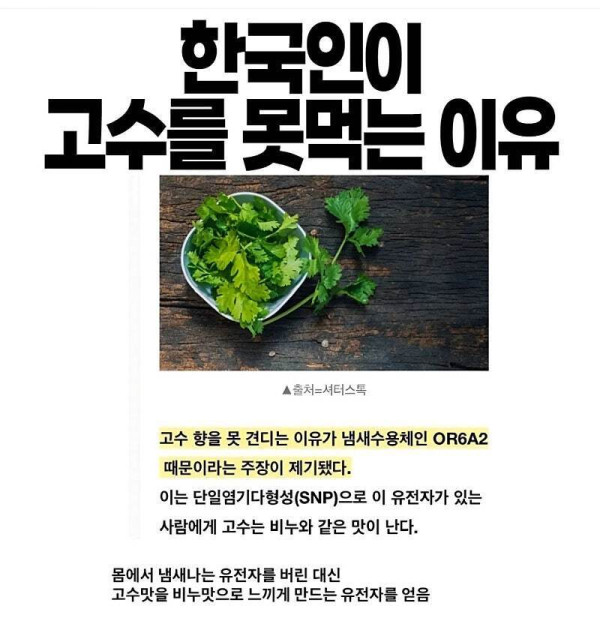 안구정화 그림