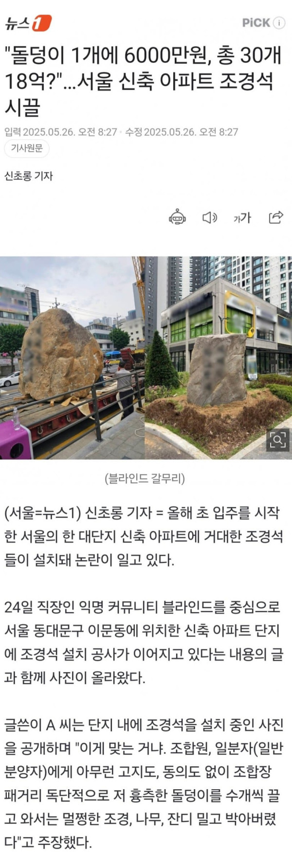 안구정화 그림