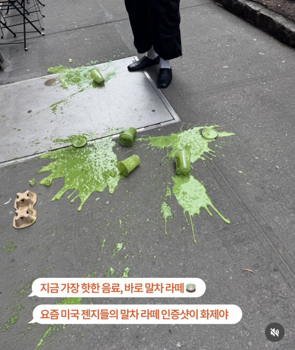 안구정화 그림