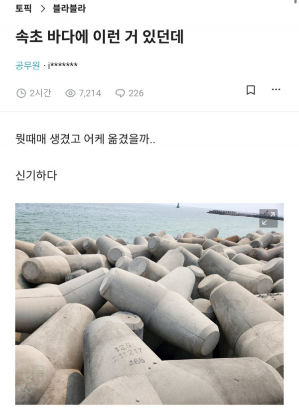 안구정화 그림