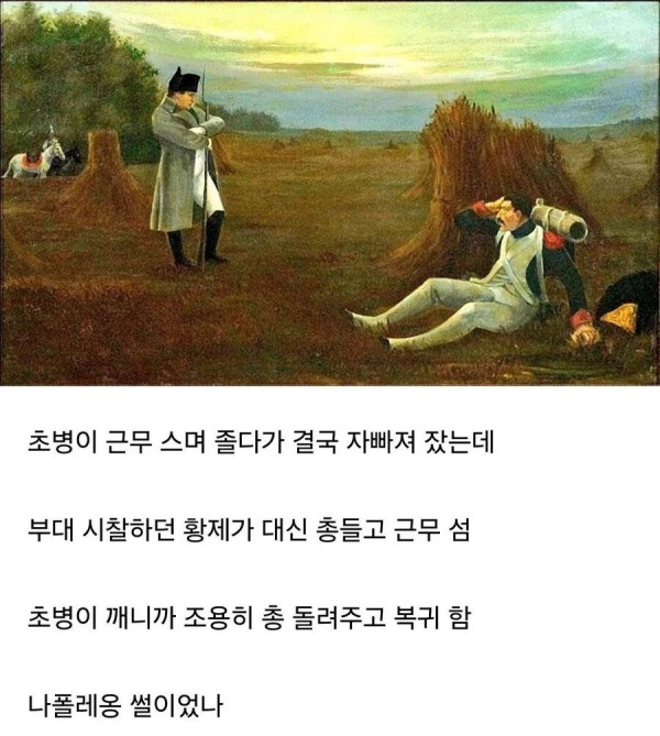 안구정화 그림