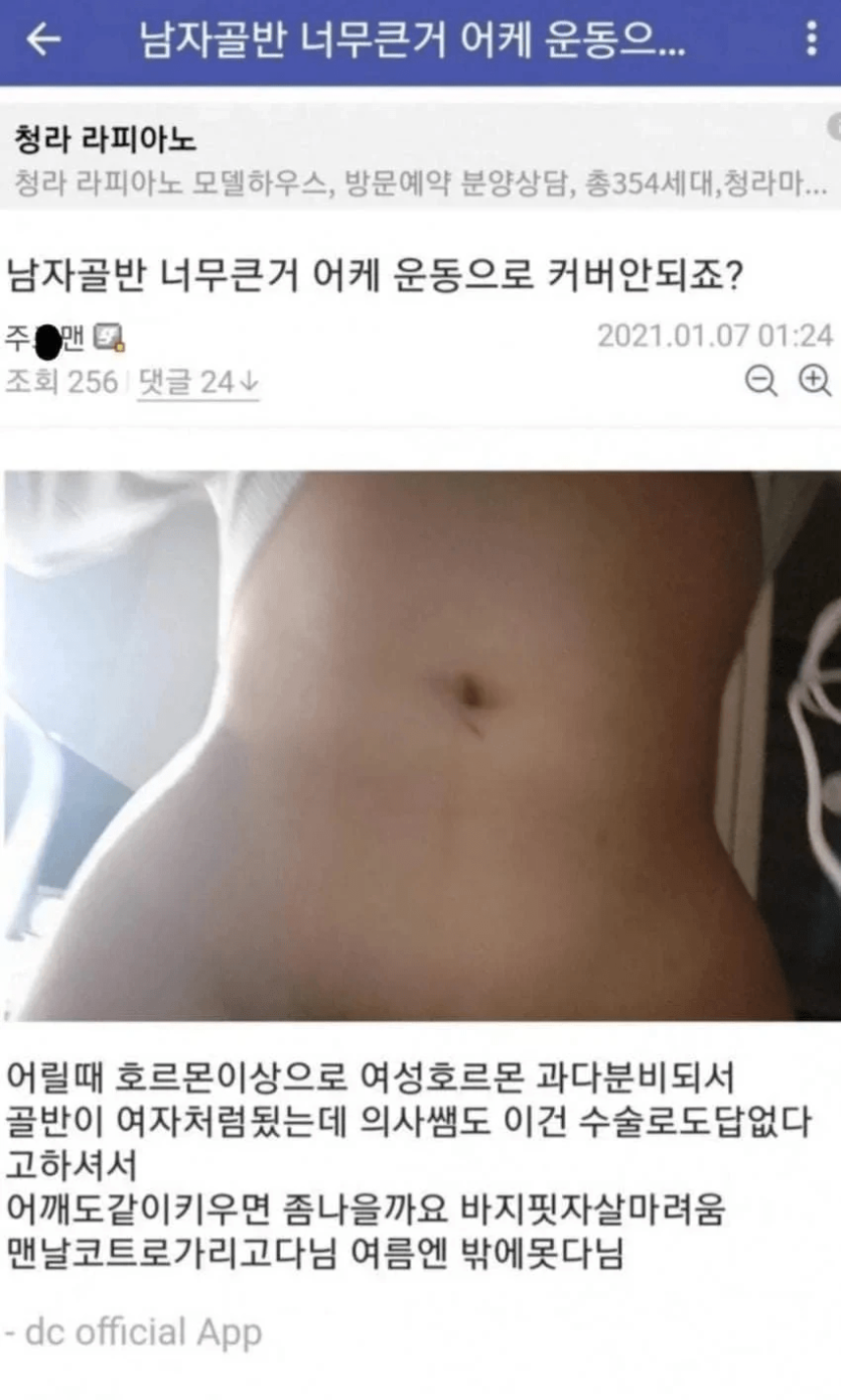 안구정화 그림