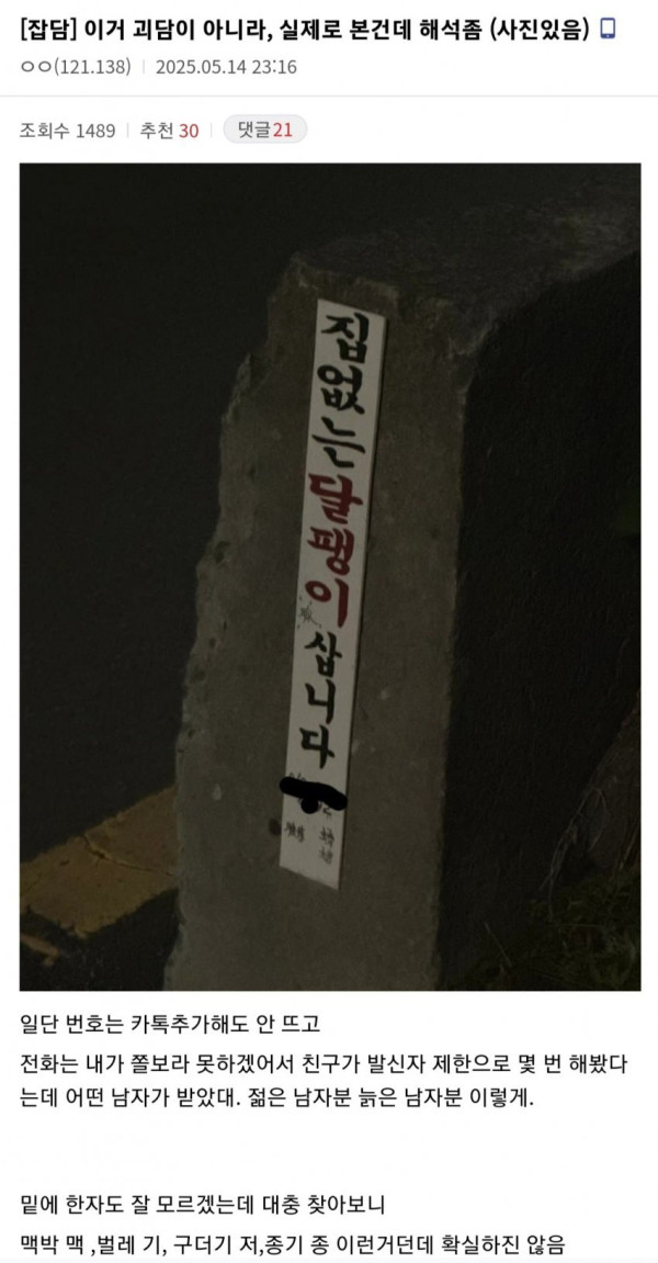 안구정화 그림