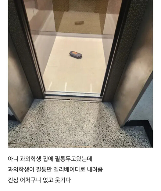 안구정화 그림