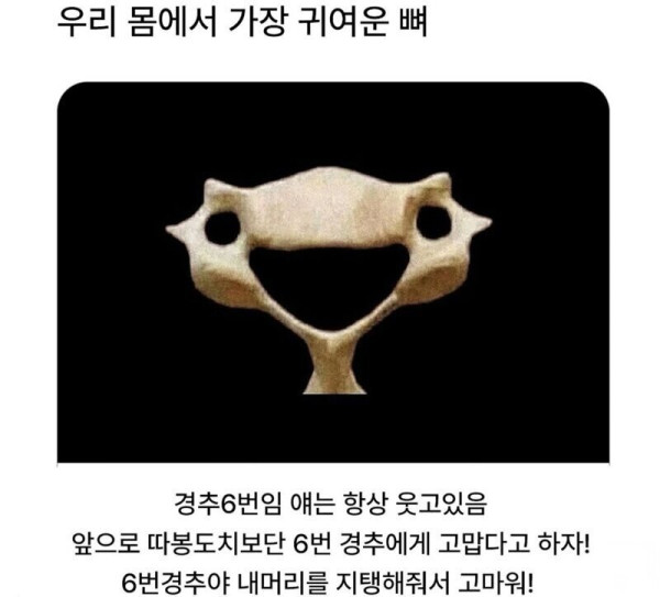 안구정화 그림