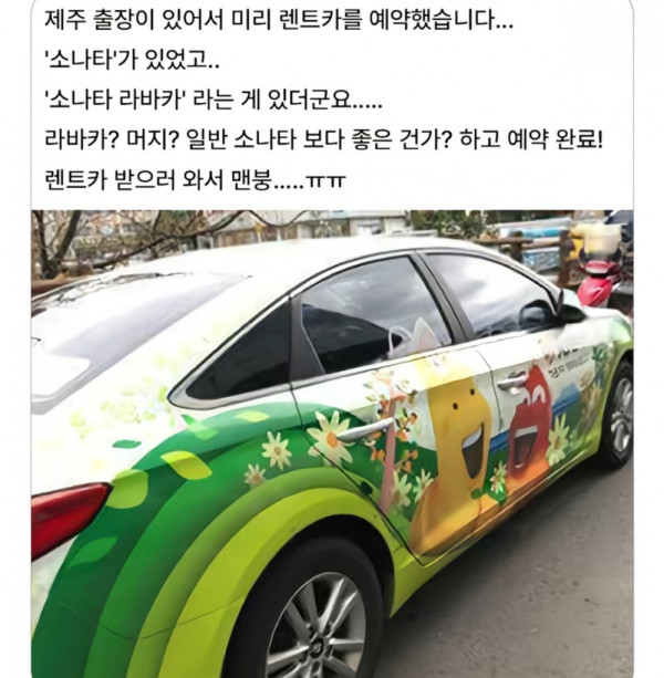 안구정화 그림