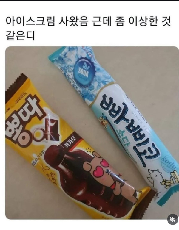 안구정화 그림