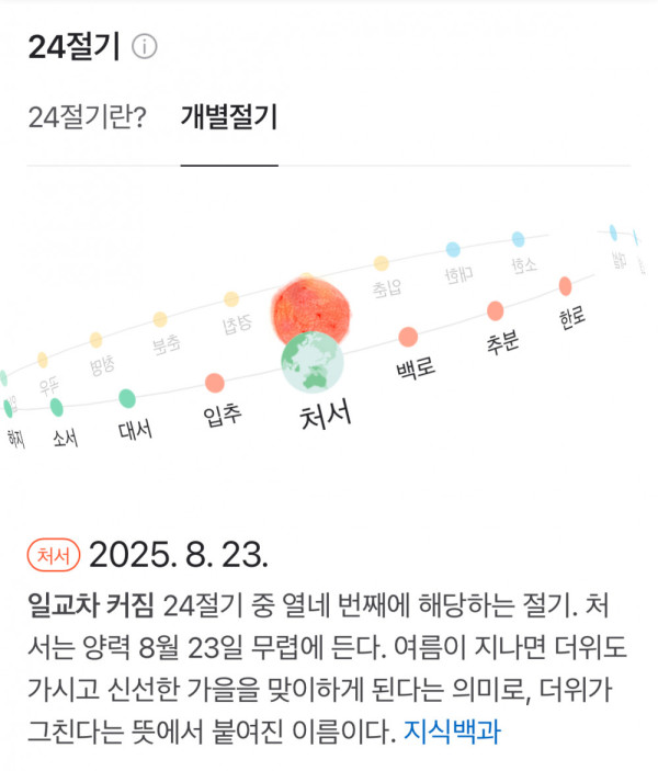 안구정화 그림