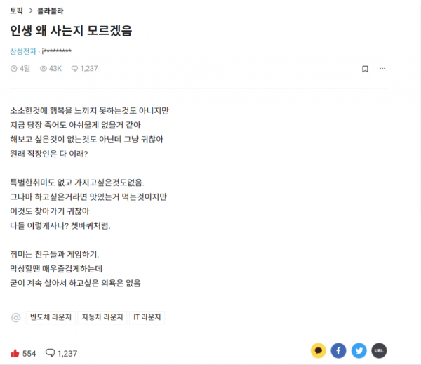 안구정화 그림