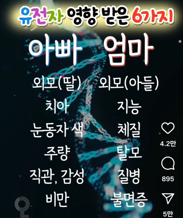 안구정화 그림