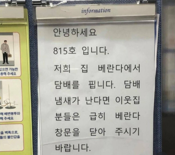 안구정화 그림