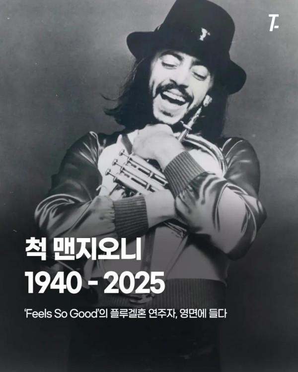 안구정화 그림