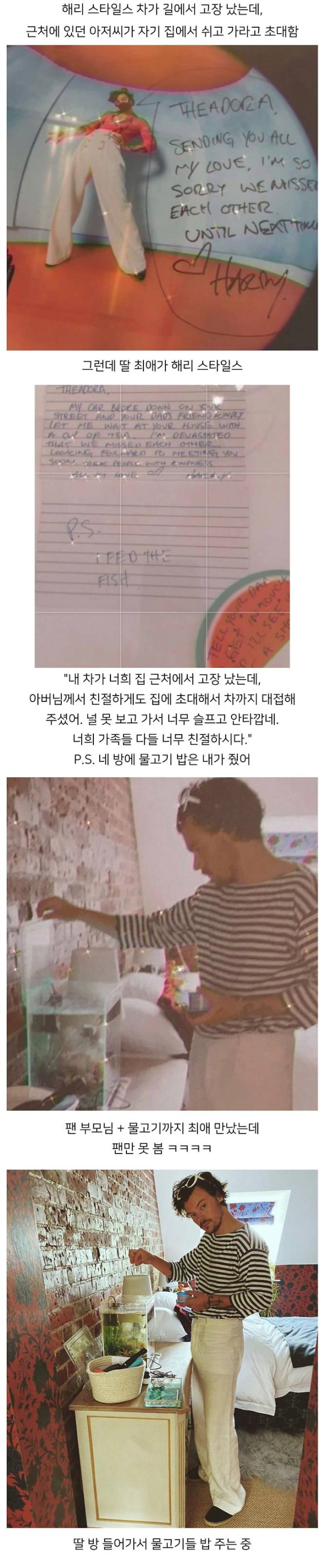 안구정화 그림