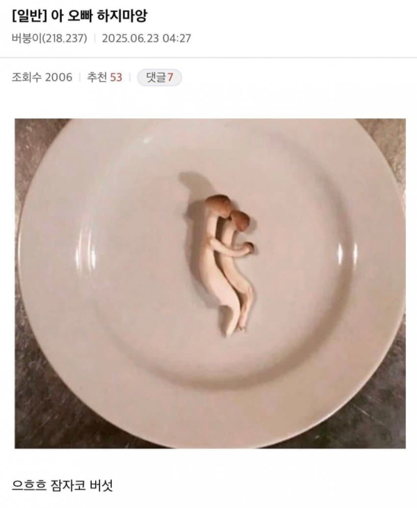 안구정화 그림