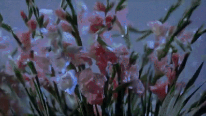 00e826a039368ee9e39f4e7c20548945_1754721536_8894.gif