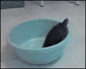 0a802e455ef065cbc34aec9ab8422589_1754779455_5957.gif