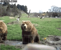 0fa3326c2a1b053e771cb0bdc09ce15f_1754079926_4292.gif