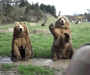 752728a986323df28d16d74b4be4790a_1754079926_6294.gif