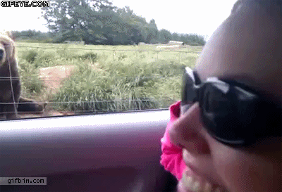 7992ad1227c9c57fc49bc5dc4323d564_1754079926_8765.gif
