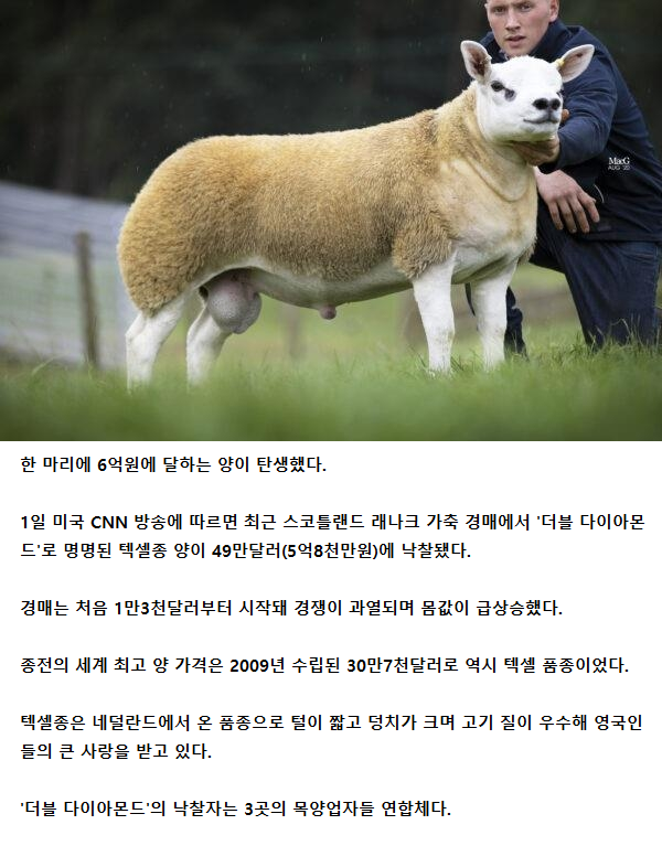 8d34298cdb7f94106cd207e6a6e4f160_1755343040_722.png