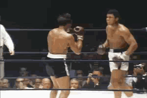 93ac2bf0d69acc060916c879d09db646_1754735536_2307.gif
