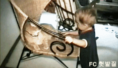 951bd125b8d829a01d543e4e98c60cde_1754320841_947.gif
