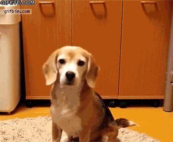 98af693810a1cbed24265ff04a5c6c3b_1754580573_6111.gif