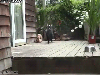 a42f2172a90fc4887b9c4c84a9e45d87_1754493616_9654.gif