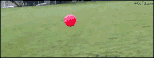 a57991cb80ac72250b6cea1647c91f48_1756151910_1181.gif