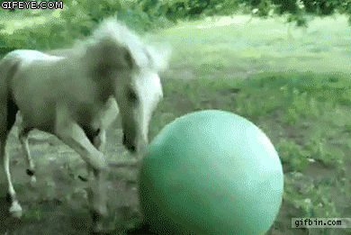 b8e143292c5149413156b34d03c7b4b1_1754779456_0191.gif