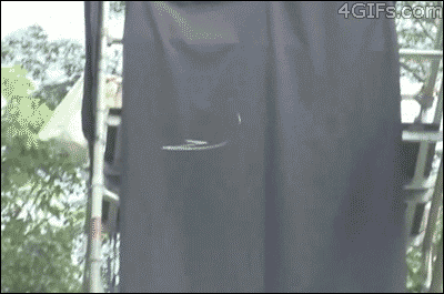 beaa2c473bc8bee3694eeb0c64fdd6a9_1754321226_3914.gif