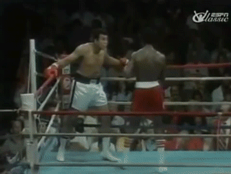 bf86462b8f587a9539b0c39809d38dce_1754735535_6826.gif