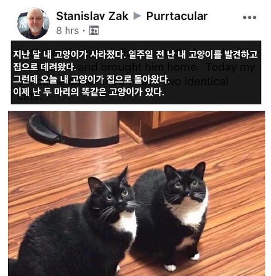d5a4b723dd29b8131a3f2b8a5dd28d03_1754748837_8446.jpg