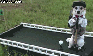 e9c80555a47692f209366b2bfce1ff7c_1754617139_8442.gif