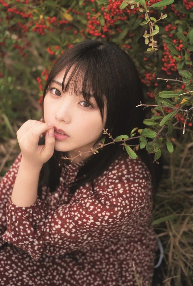 본문 이미지