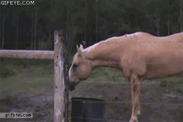 fd36ad68ff0f603b361730865f4b9bc3_1755294512_2667.gif