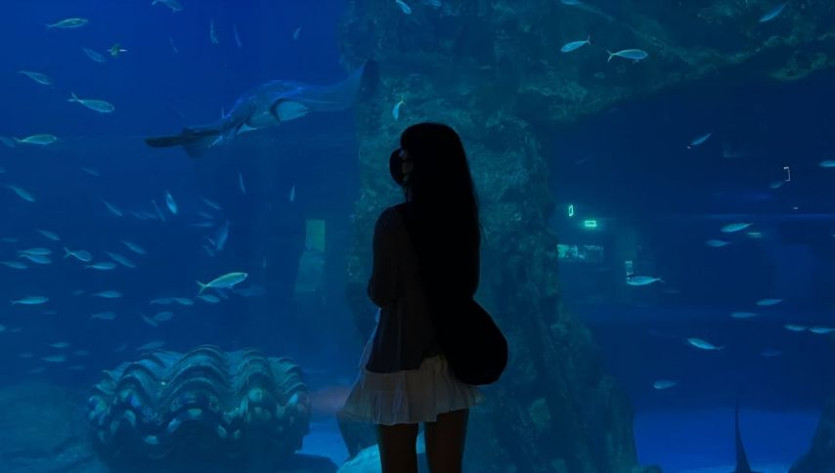 본문 이미지