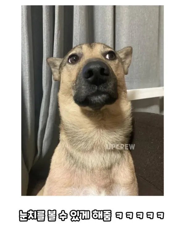 08823c359e63bd5739d2383d5453ea27_1754298429_2031.webp