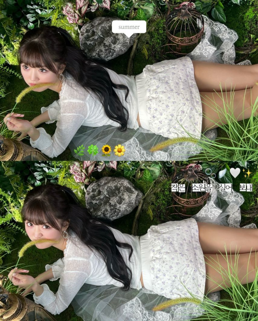 본문 이미지