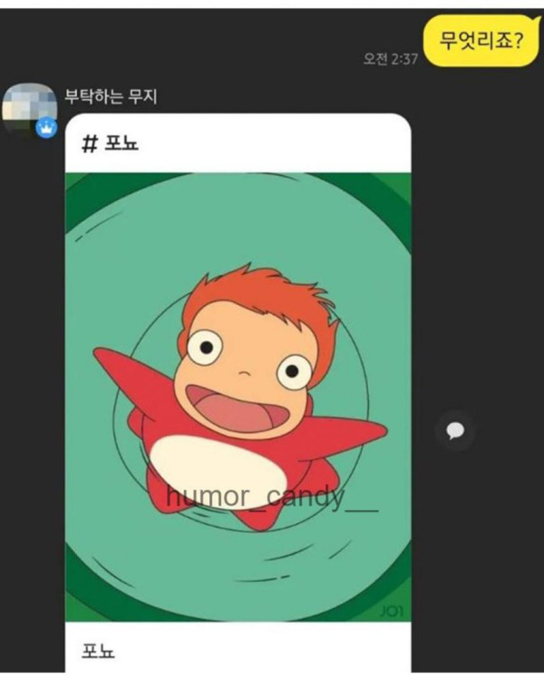 본문 이미지