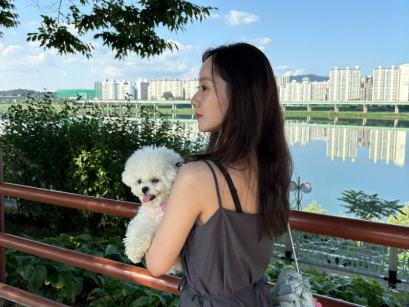 본문 이미지