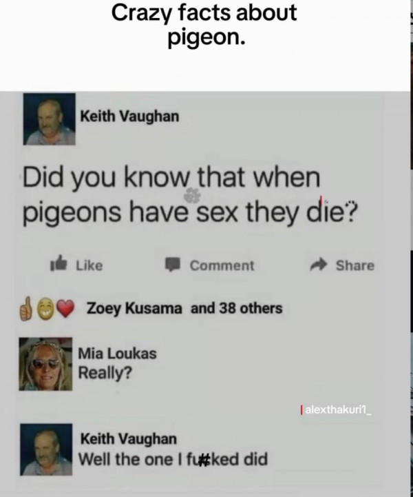11f0418000d8b5748dbdca03c1108da8_1754439486_5174.jpg