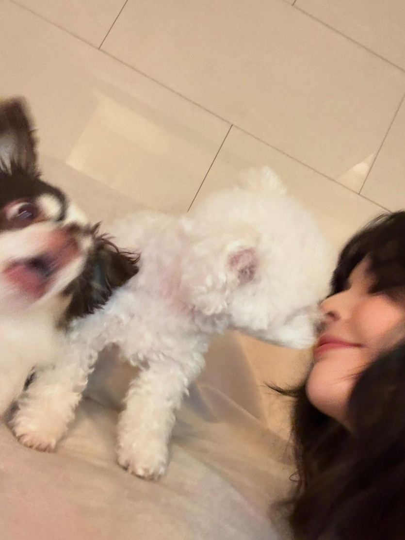 본문 이미지