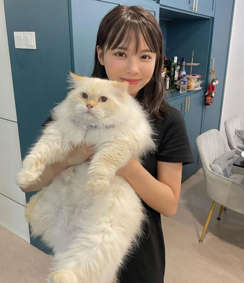 본문 이미지
