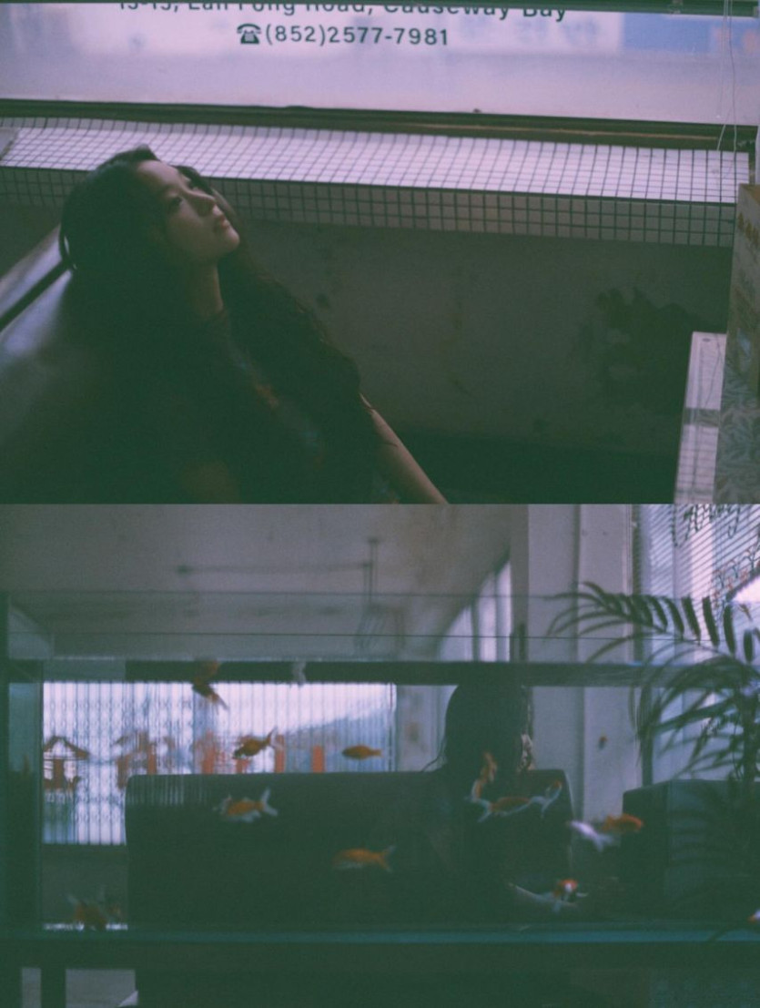 본문 이미지