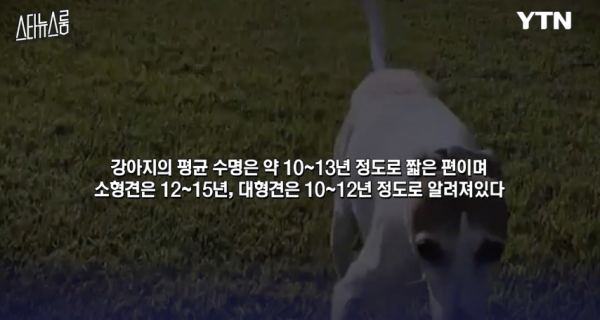 2389ebe5952ed530eee92e033ef0bc95_1755000681_6141.png